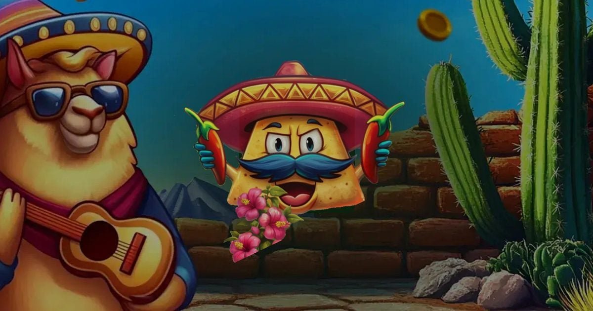 CasiNacho condiciones de apuesta del bono